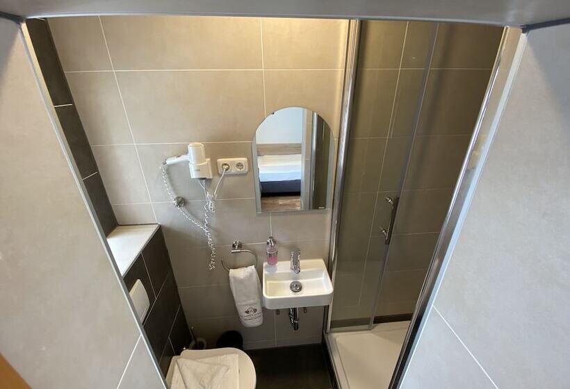 חדר סטנדרט יחיד, Goldene Traube