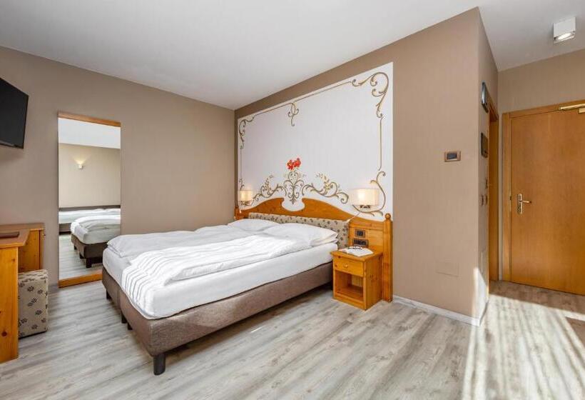 غرفة قياسية, Vittoria   Ricarica L Anima