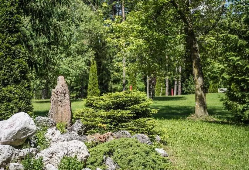 バルコニー付きシングルスタンダードルーム, Waldsee