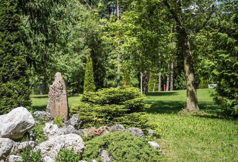 Номер Superior, Waldsee