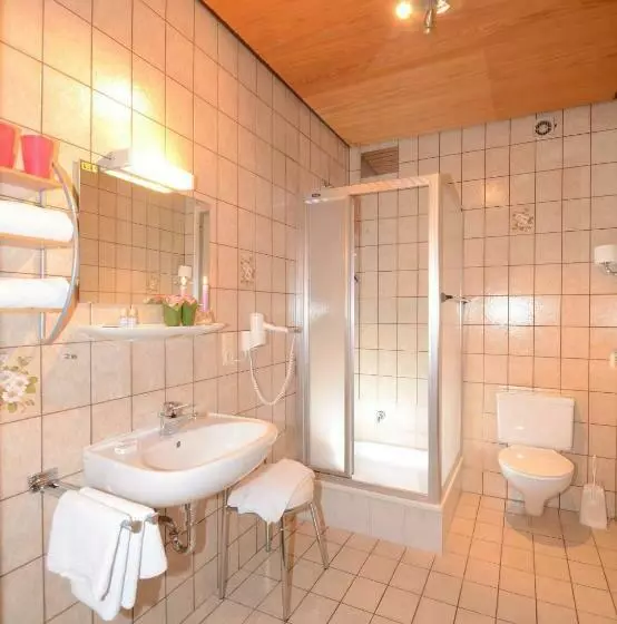 اتاق استاندارد, Gasthof Zur Post Hotel Parkplatz