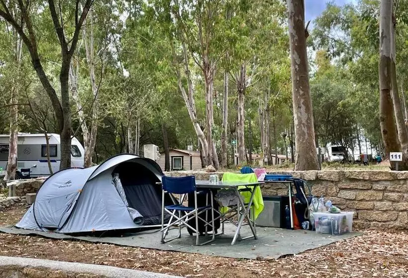 Standard Tent, Villaggio Camping Golfo Di Arzachena