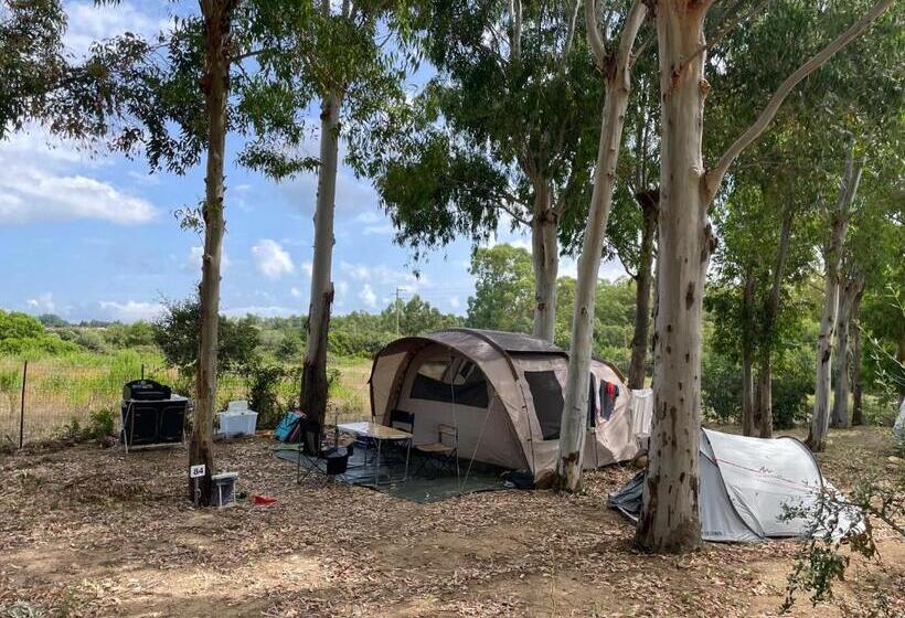 Standard Tent, Villaggio Camping Golfo Di Arzachena