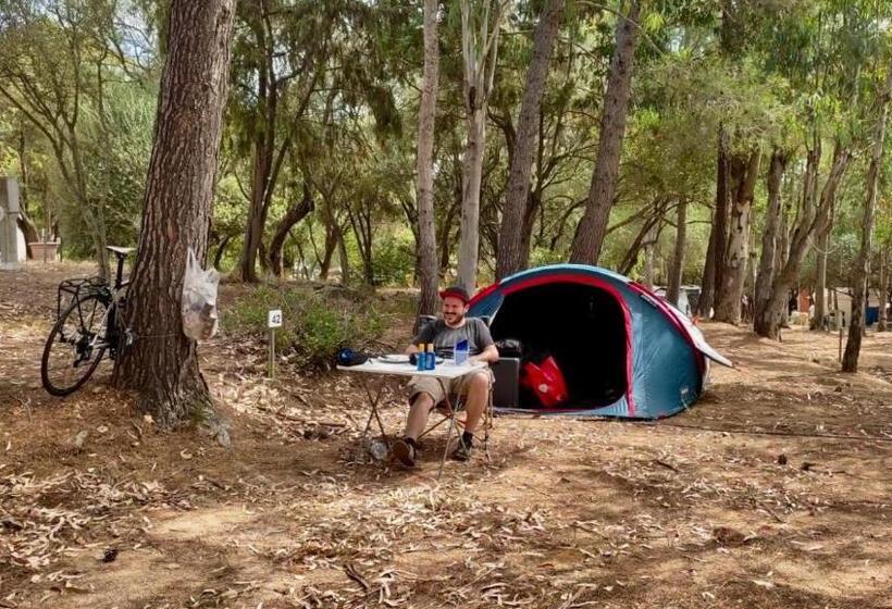 Standard Tent, Villaggio Camping Golfo Di Arzachena