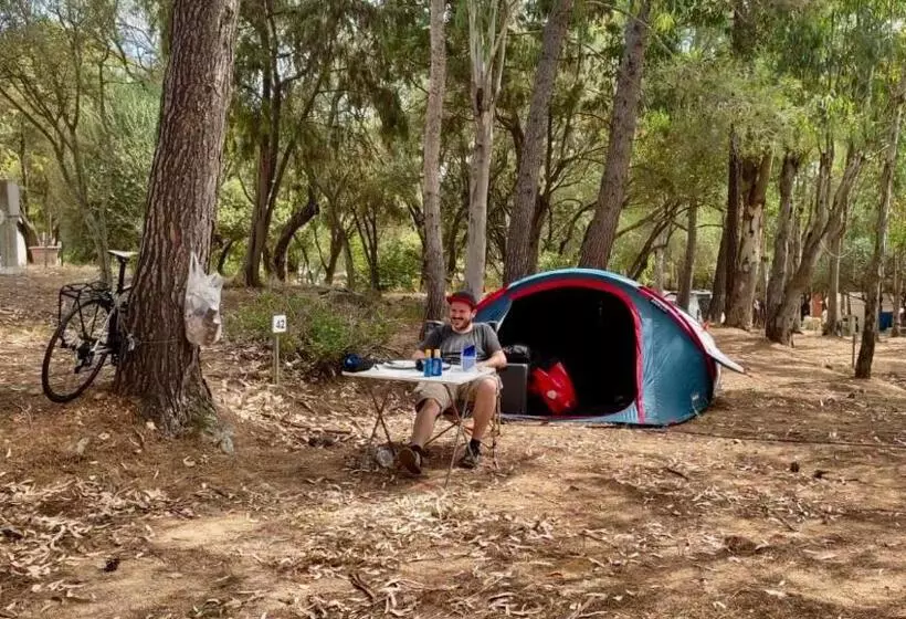 Standard Tent, Villaggio Camping Golfo Di Arzachena
