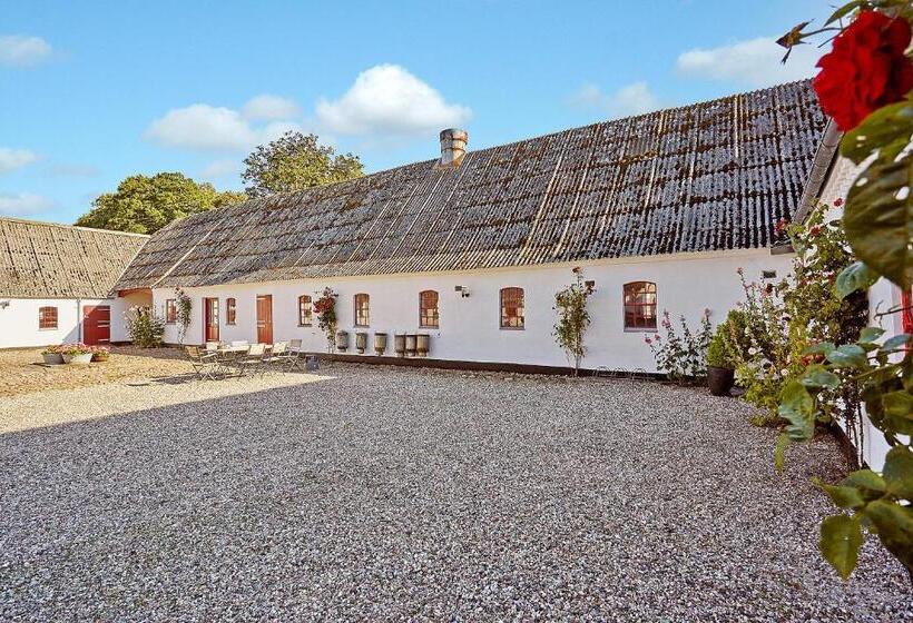 דירת חדר, Bed And Breakfast åløkke