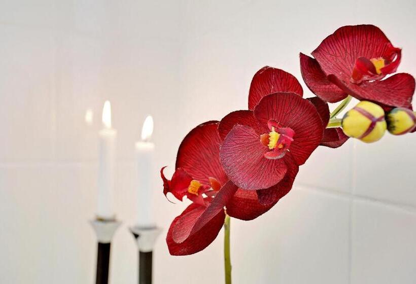 חדר סטנדרט, Bed And Breakfast åløkke