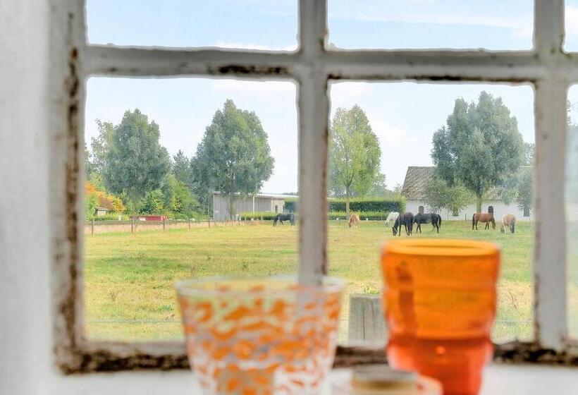 Апартаменты 1 Спальня, Bed And Breakfast åløkke
