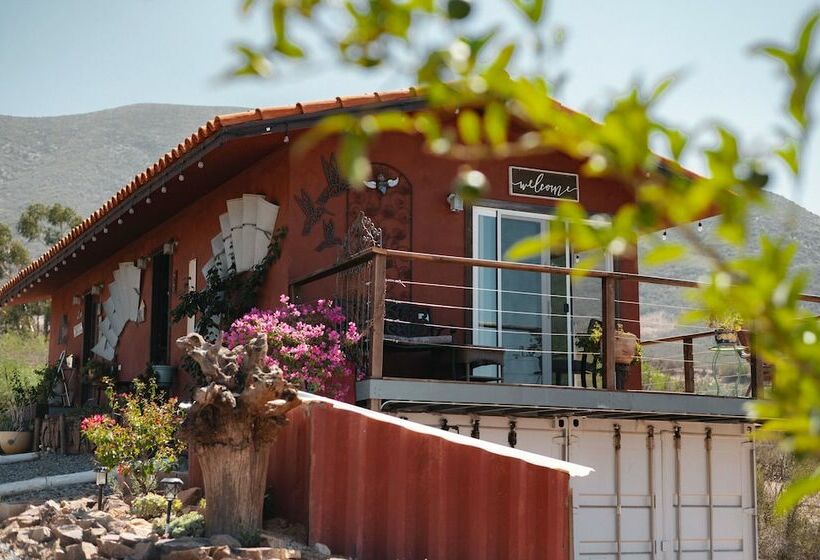 豪华工作室, Viña Calabria