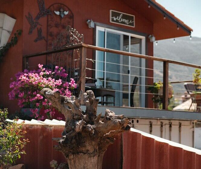 豪华工作室, Viña Calabria