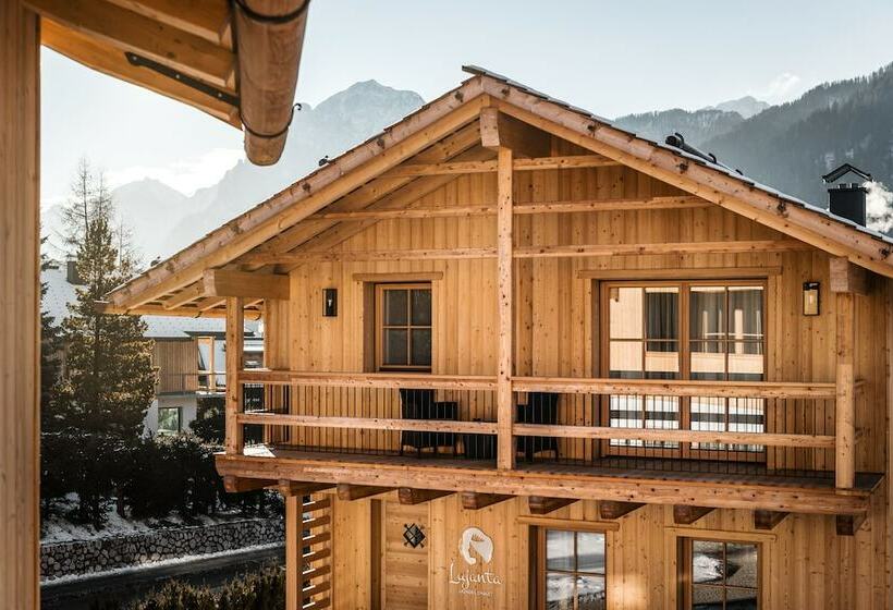 Шале 1 Спальня, Liondes Chalets