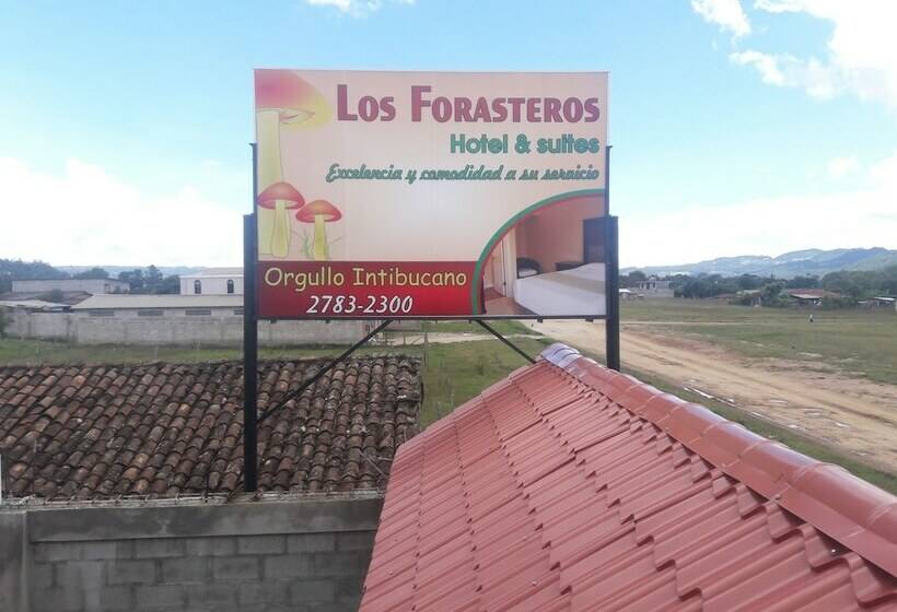 اتاق عادی, Los Forasteros