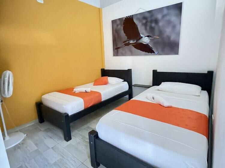 标准间, Campestre San Manuel