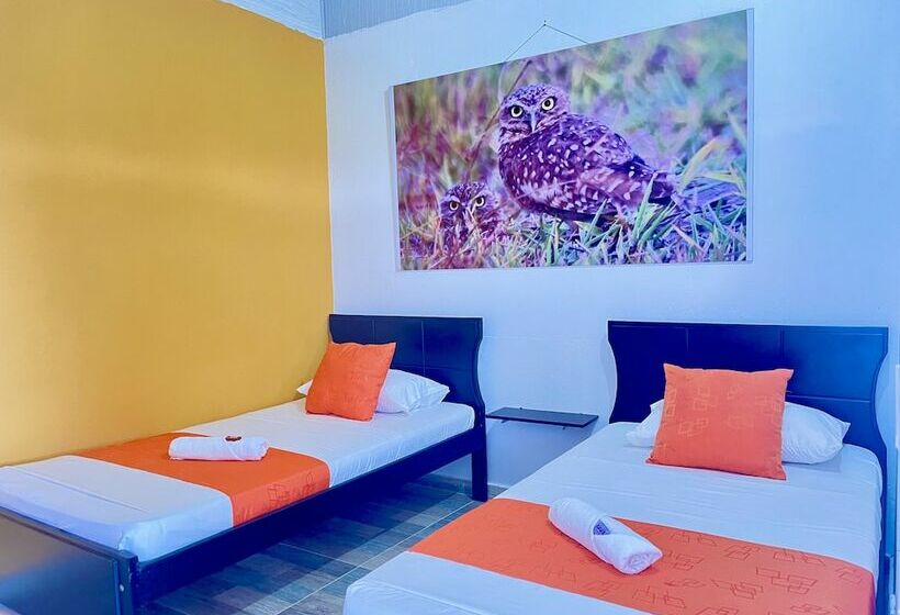 标准间, Campestre San Manuel