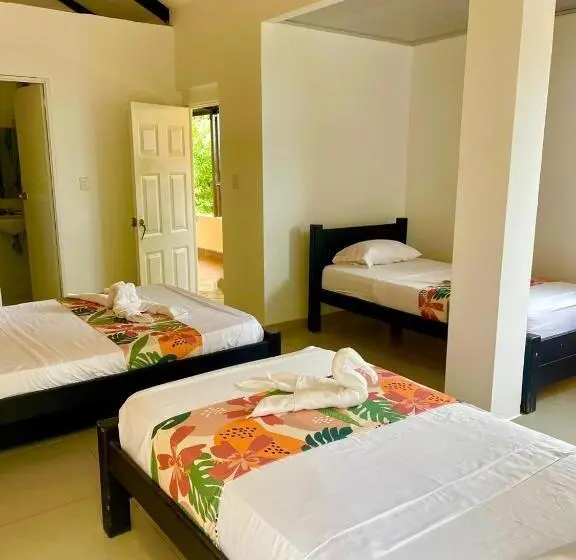 スタンダード4人部屋, Campestre San Manuel