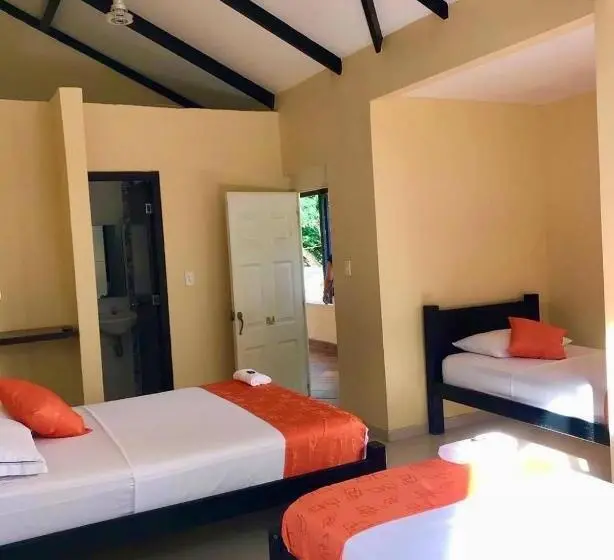 スタンダード4人部屋, Campestre San Manuel