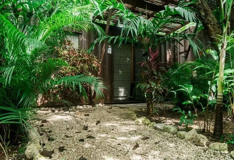 庭の見えるスタンダードトリプルルーム, Green Sanctuary
