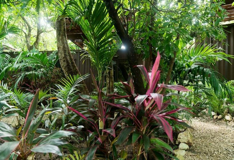 חדר סטנדרט לשלושה עם נוף לגינה, Green Sanctuary