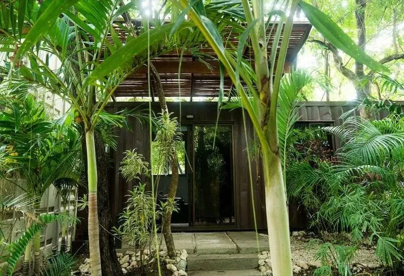 庭の見えるスタンダードトリプルルーム, Green Sanctuary