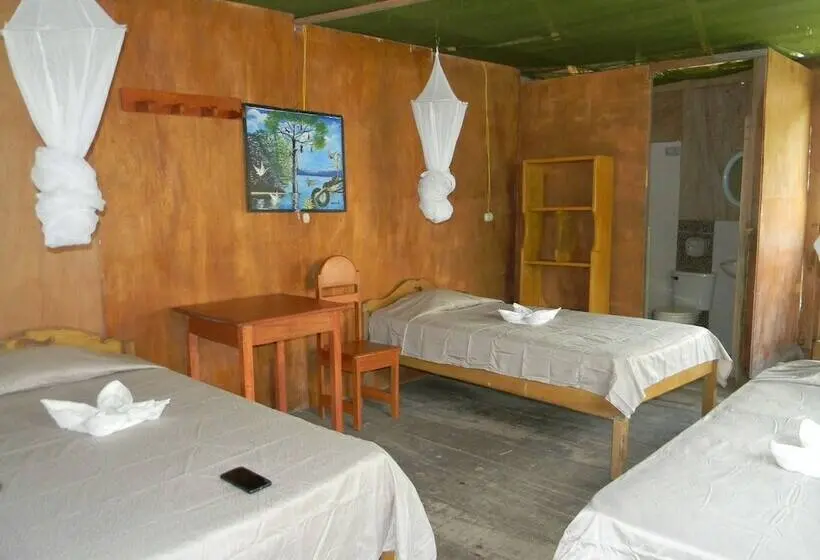 スタンダード４人部屋, Jacamar Lodge Expeditions