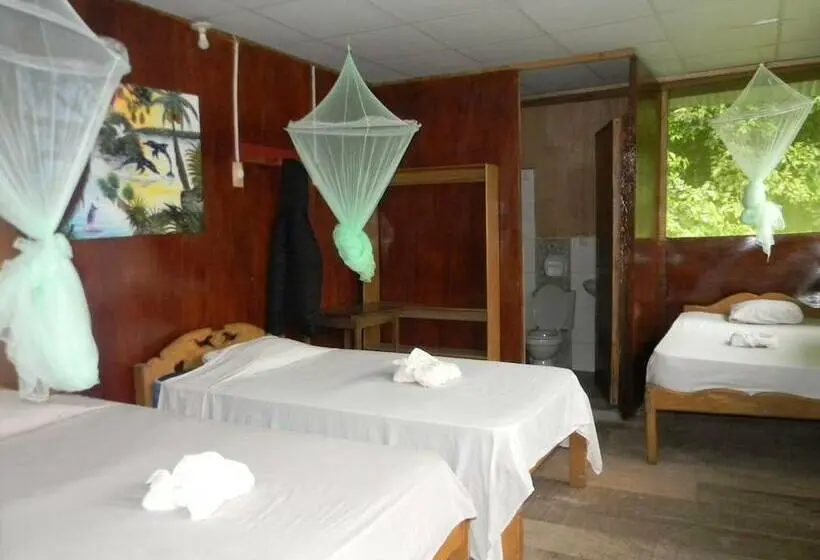 スタンダードトリプルルーム, Jacamar Lodge Expeditions