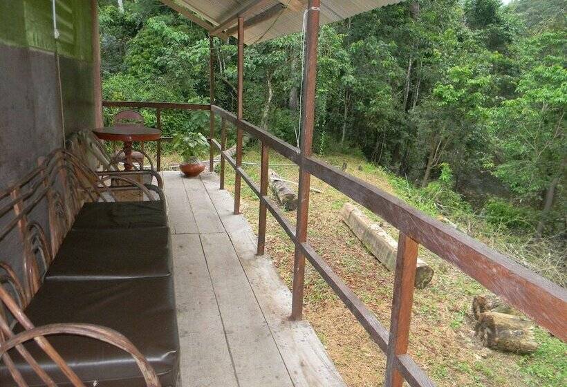 اتاق استاندارد چهار تخته, Jacamar Lodge Expeditions