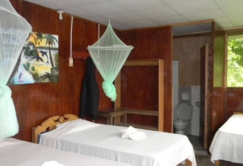 اتاق استاندارد سه نفره, Jacamar Lodge Expeditions