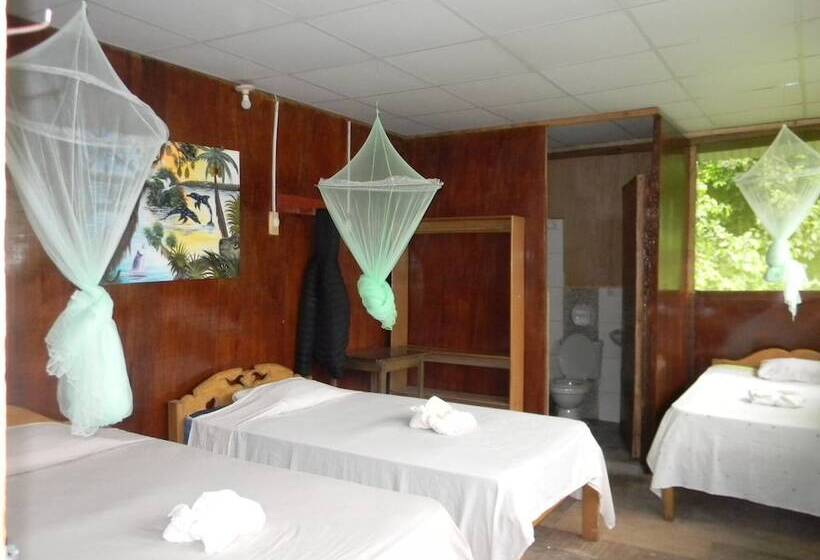 اتاق استاندارد چهار تخته, Jacamar Lodge Expeditions