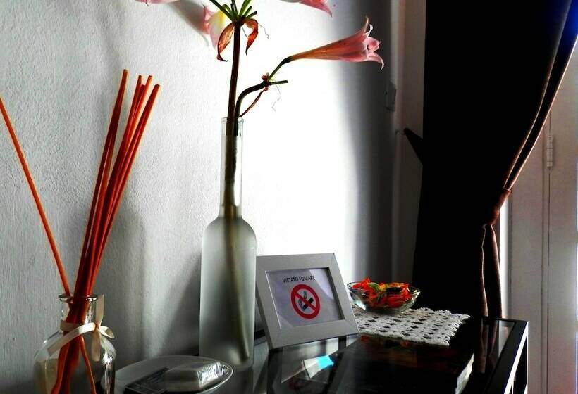 スタンダードシティビュールーム, B&b Aloisio