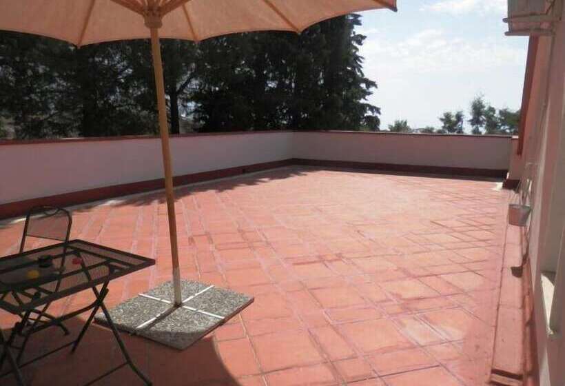 スタンダードシティビュールーム, B&b Aloisio