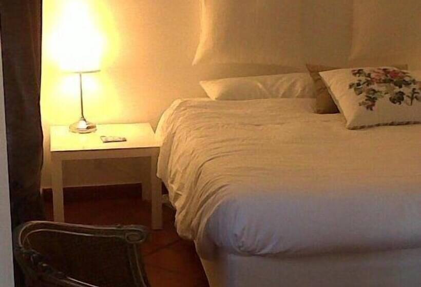 スタンダードシティビュールーム, B&b Aloisio