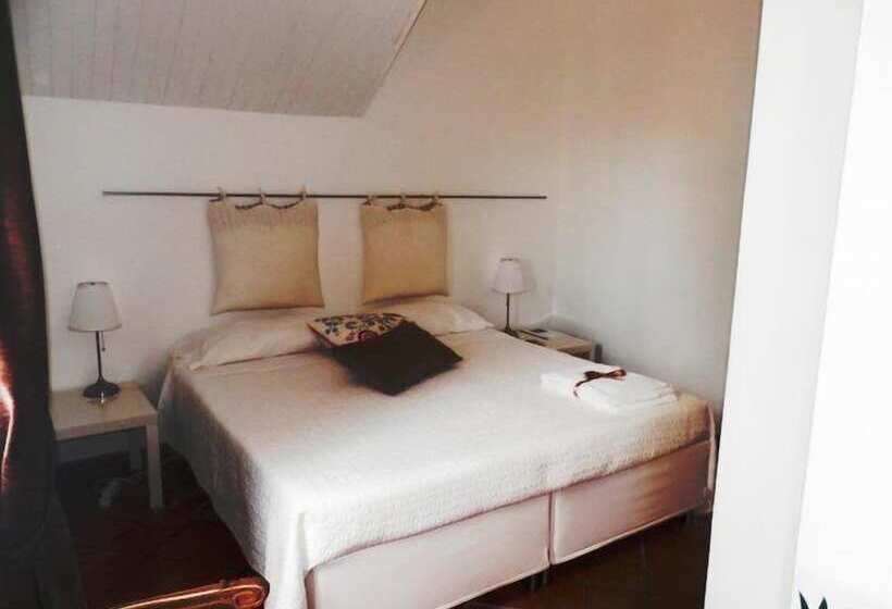 スタンダードシティビュールーム, B&b Aloisio