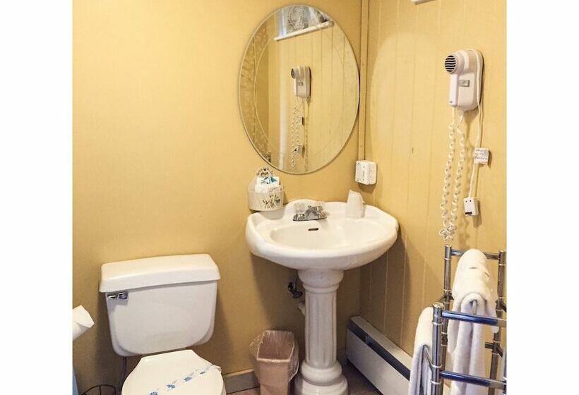 غرفه قياسيه سريرين مزدوجين, Spring Garden Inn