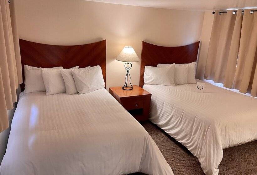 带2个双人床的标准工作室, Whitetail Creek Resort