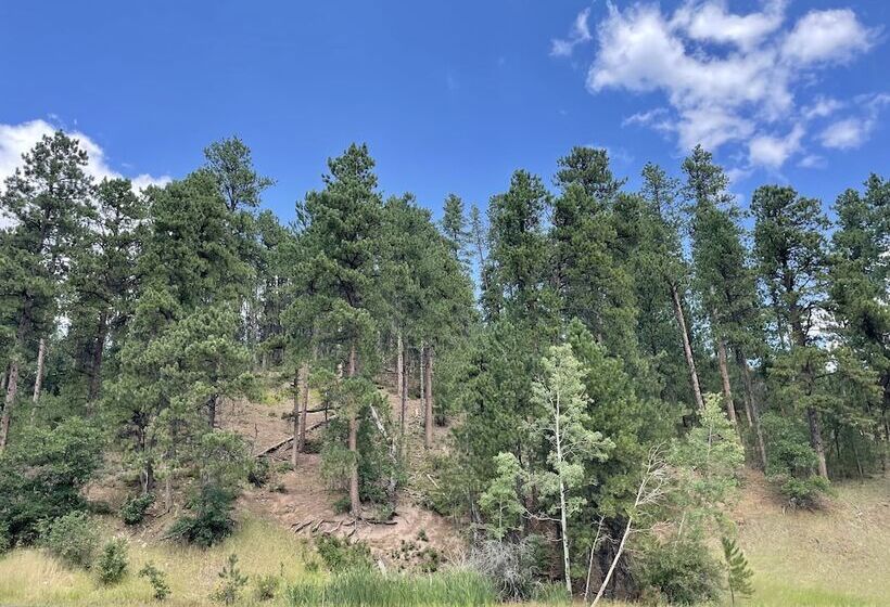 스탠다드 룸 더블 침대 2개, Whitetail Creek Resort