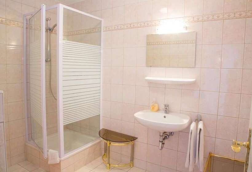 标准单人间, Aparthotel Landau An Der Isar