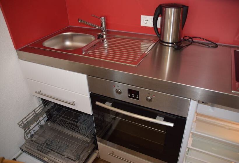 Апартаменты 1 Спальня Вид на Сад, Gasthauspension Hofmann