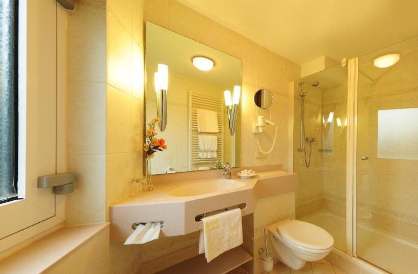 舒适型单人间, Alte Post Garni