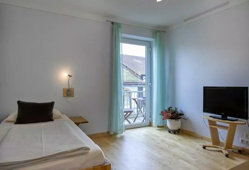 اتاق استاندارد یک نفره, Donau Ries