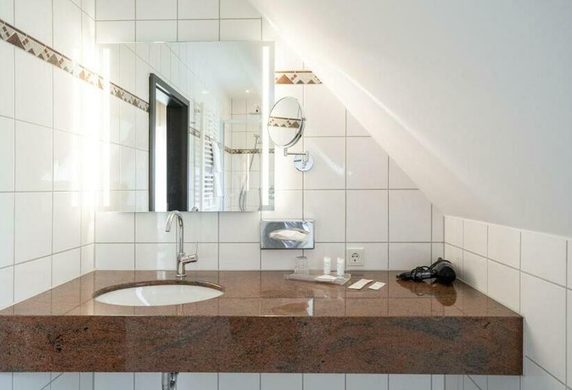 Номер Economy Индивидуальный, Rheinischer Hof