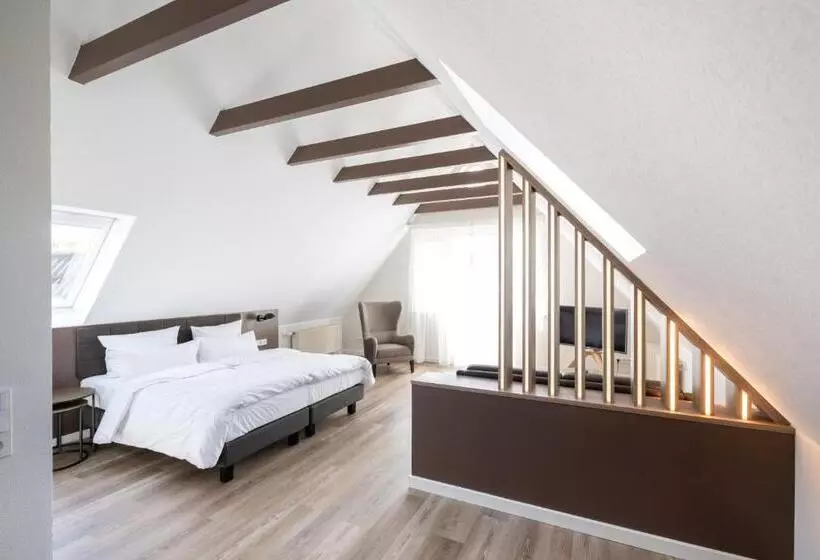 １ベッドルームアパートメント, Rheinischer Hof
