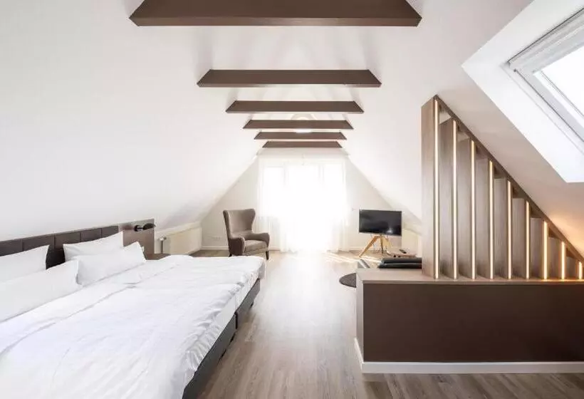１ベッドルームアパートメント, Rheinischer Hof