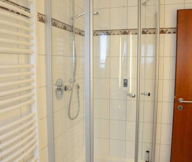 Номер Economy Индивидуальный, Rheinischer Hof