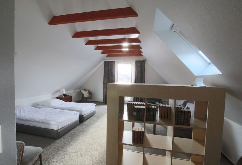 Апартаменты 1 Спальня, Rheinischer Hof