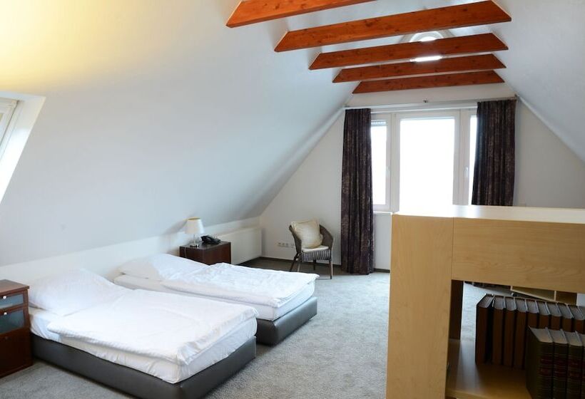 Апартаменты 1 Спальня, Rheinischer Hof