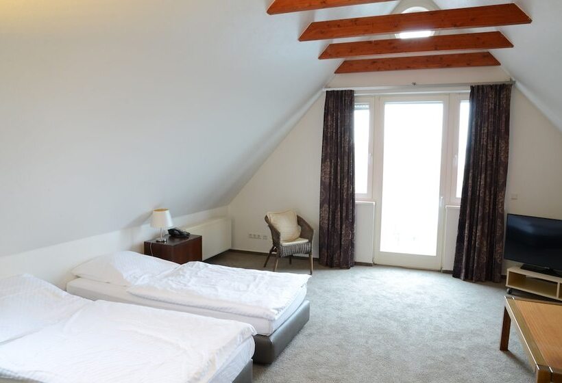 Апартаменты 1 Спальня, Rheinischer Hof