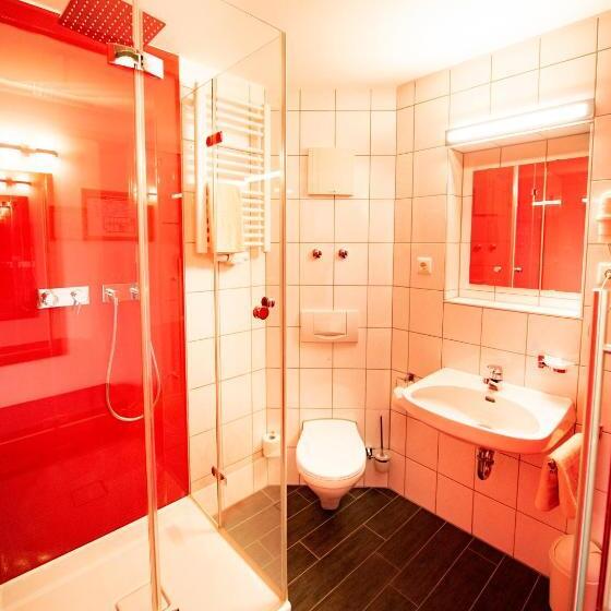 Номер Стандарт Индивидуальный, Stadthotel Giengen