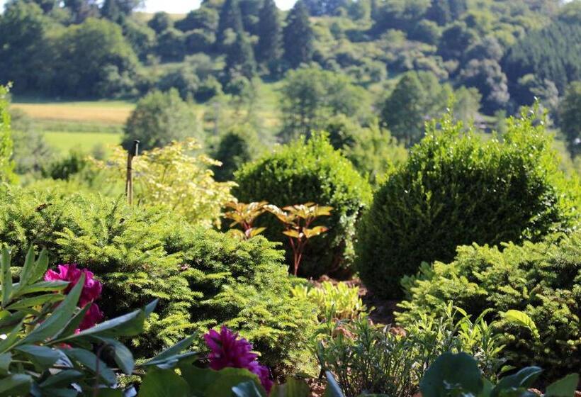 Номер Стандарт, Tannenhof