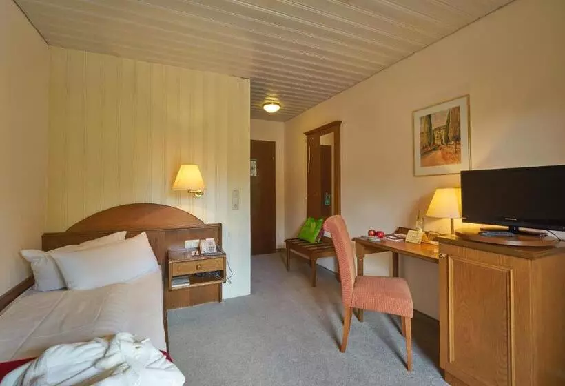 スタンダードシングルルーム, Wellnesshotel Zum Koch