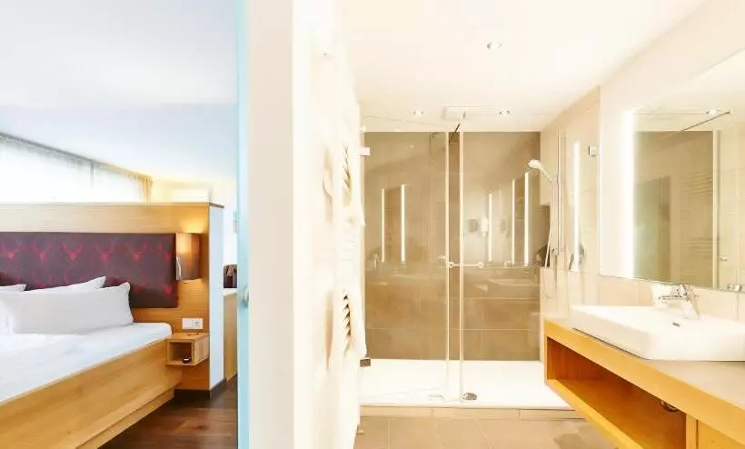 キングサイドベッドのスタンダードワンルーム, Wellnesshotel Zum Koch